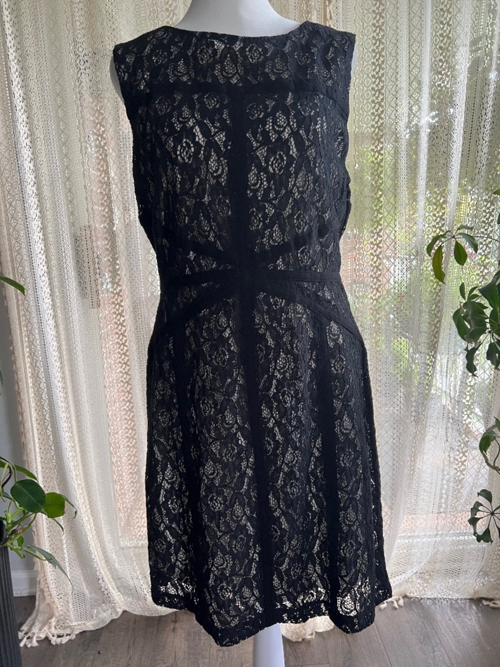 Bisou Bisou lace black and cream fitted dress